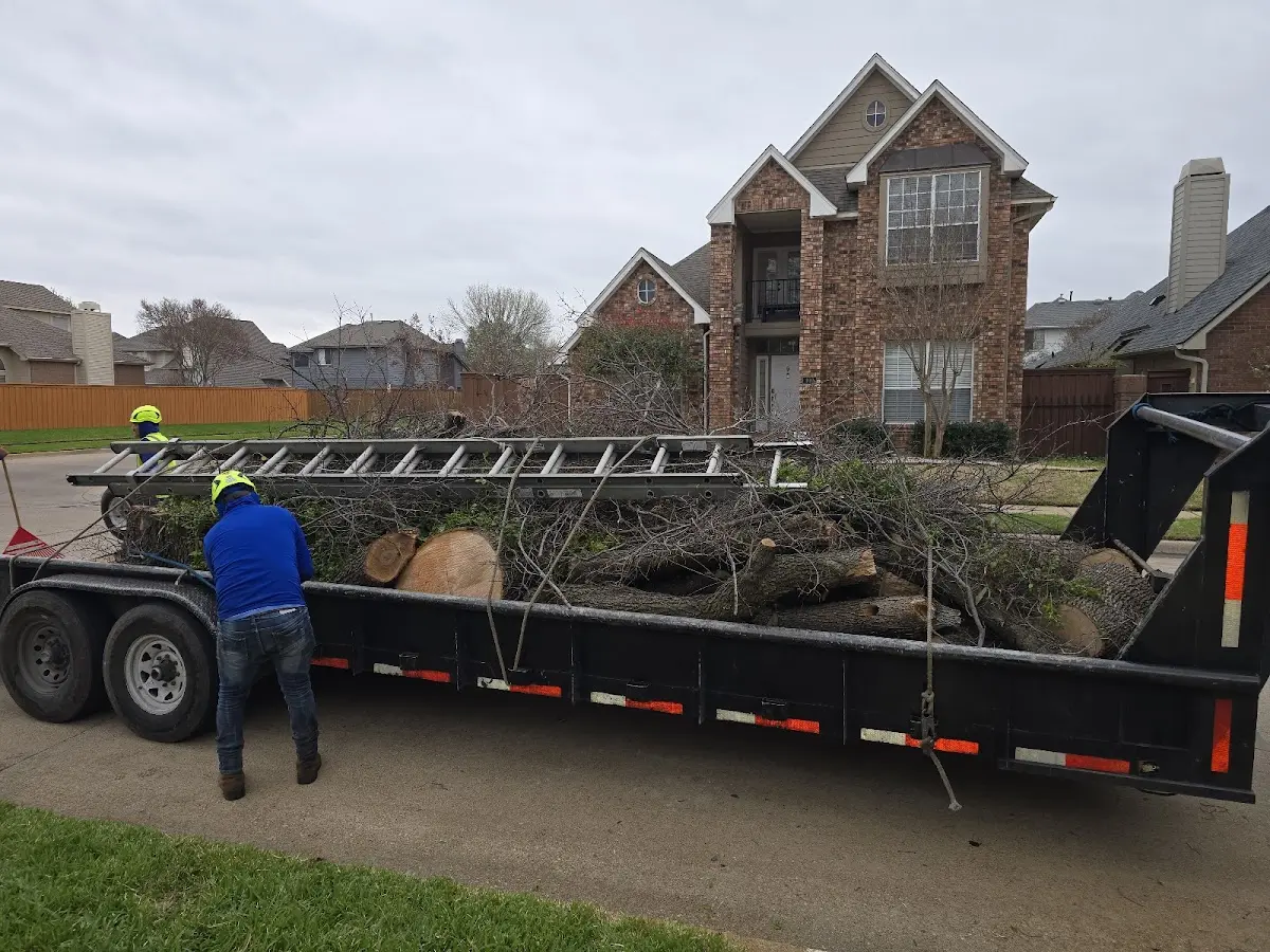 Expert Tree Removal with proper safety equipment in Bon Air
